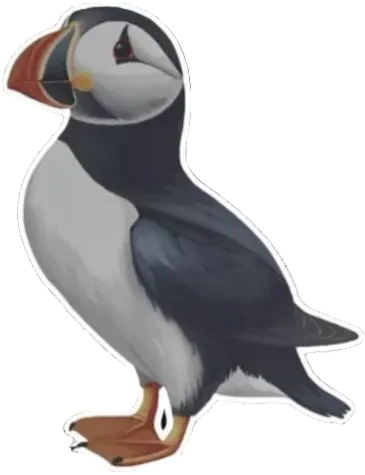 Puffin Sticker